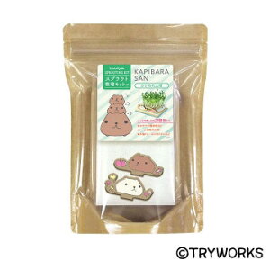 かいわれ大根 種の人気商品 通販 価格比較 価格 Com