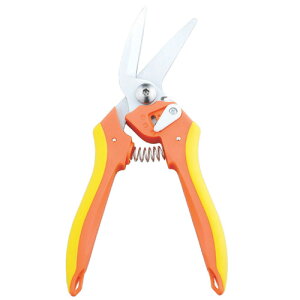 Z[uEC_Xg[@悭؂`閜\nT~@807144 G LOobO[][AS]