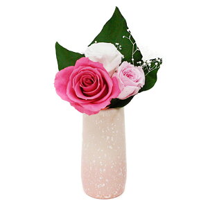 A&K MtgV[Y 蕨ɍœKȃvU[uht[ ۖ-Pomu-() AKF-071 [][AS]