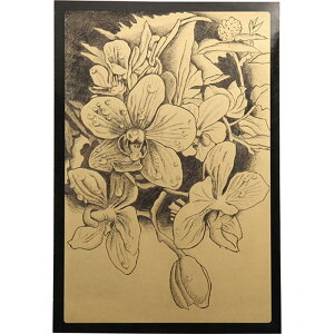 ARTEC ���F�x�[�X�X�N���b�`�{�[�h �S�[���h ATC13123 ���p ��� [��][AS]