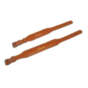 yg[GCCgzEGCgg[jOxg STCY(60`80cm) /H7454S [][ZX]