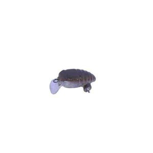 DAYSPROUT �f�B�X�v���E�g ���C�Y�}�[�J�[ JRA-02 �É��Β�