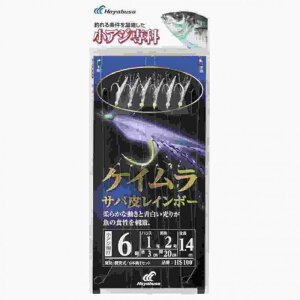 HAYABUSA �n���u�T HS100 �R�A�W��� �P�C�����T�o��RB6 1