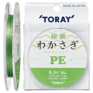 TORAY �����t�B�b�V���O ��� ���J�T�M PE �O���[�� 0.3