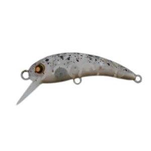 RODIO CRAFT ���f�I�N���t�g ��RC���E37(FII) #6 2015�m�u�J���[