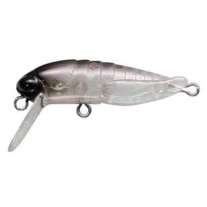 TACKLE HOUSE �^�b�N���n�E�X �O���X�z�b�p�[F �V���O���t�b�N No1
