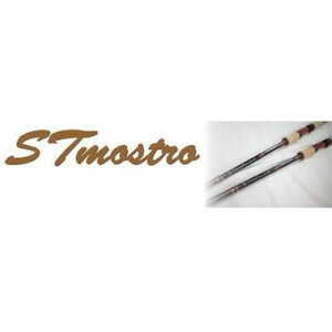 DAYSPROUT �f�B�X�v���E�g STmostro STm82