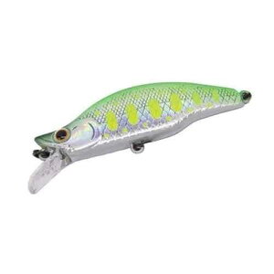 DAYSPROUT �f�B�X�v���E�g ���[�J���A 50HS #08 �O���[��S���}��Glow�x���[