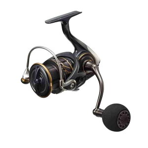 DAIWA �_�C�� 22�J���f�B�ASW 4000-CXH