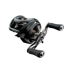 DAIWA �_�C�� 24STEEZ SV TW 100L