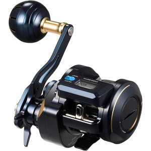 DAIWA �_�C�� 25SALTIGA IC 100-C
