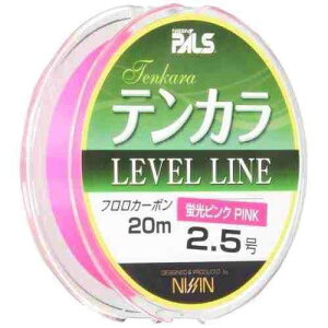 �F����V P-�S���e���J�����C�� PI 20M 2.5��