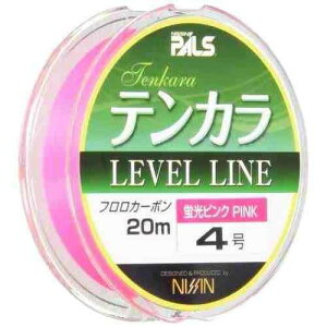�F����V P-�S���e���J�����C�� PI 20M 4��