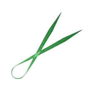 Fish Arrow �t�B�b�V���A���[ ���~�m�[�o�l�N�^�C �X�g���[�g(��) ���~�m�[�o�O���[