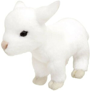 ���M �ʂ������ �肭�̂Ȃ��܂��� ��23cm �€ �R�r �ǂ��Ԃ� ���� �A�j�}�� �V�i *