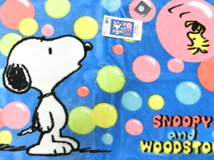 Xk[s[ G| 70x100cm o[ KK275SN15 Ђ| ѕz u[ ObY  ʂ Vi *[