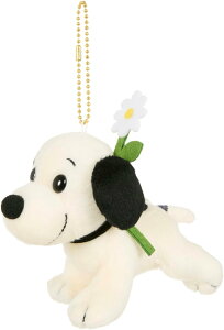 t@[XgXk[s[ L[`F[}XRbg ʂ Vi *