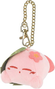 ̃J[rB ʂ ӂӘaRNV }XRbg ʂ ObY  G *[