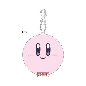 ̃J[rB tFCXpXP[X ɂ H12.8×W12.8×D4cm ʂ ObY G  Vi *[