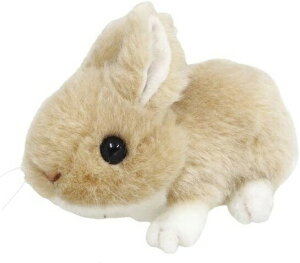 ETM x[W  ʂ 肭̂Ȃ܂ 17cm ǂԂ  Aj} ObY G  *