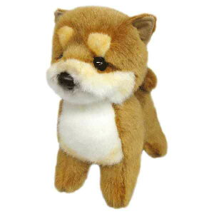 _ubNtCf[P2{ő2000~N[|^{ OCXt ʂ ČS    Vi *