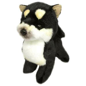 { OCXt ʂ Č S ubN   Vi *