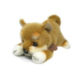 [クーポン利用で10%off]グレイスフル おねだりDOG シバイヌ 茶 24cm [ぬいぐるみ グッズ おもちゃ 雑貨 キッズ ベビー プレゼント 送料無料]