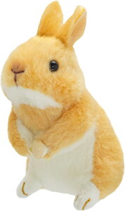 IETM TCYF10cm ʂ ObY  G Vi *