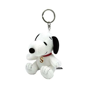 Xk[s[ CjV}XRbg ʂݍ S ʂ Vi *