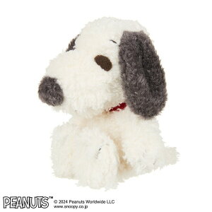 n[I MY Xk[s[ ʂ ̂ЂTCY ObY G  Vi *