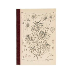 قړ̕m[g m A5TCY n qxY / }UN