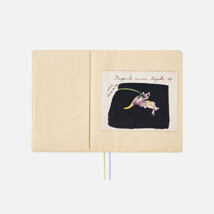 楽天市場】ほぼ日手帳 / 手帳カバー / カズン［A5サイズ］牧野富太郎