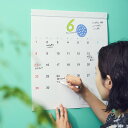 【セール】ほぼ日ホワイトボードカレンダー 20252025年1月〜12月壁掛け / フルサイズ