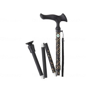 tWz[ XebL 邪E ܏S s Ҍ WB3793