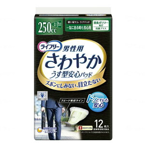 jE`[ Ct[ ₩pbh jp Cɏo鎞Sp 250cc 12 26cm yA̕