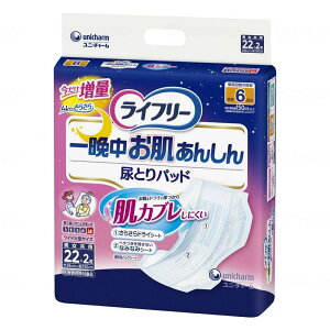 jE`[ Ct[ Ӓ񂵂AƂpbh p 22 28×60cm jp Qĉ߂ rA6