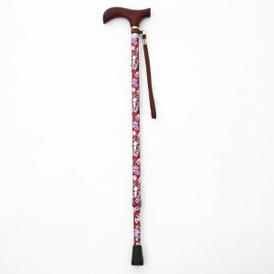 EFt@ CtXebL Lk^(X^Cv) ԃC 