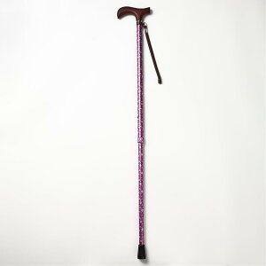 EFt@ CtXebL Lk^(X^Cv) ԃsN 