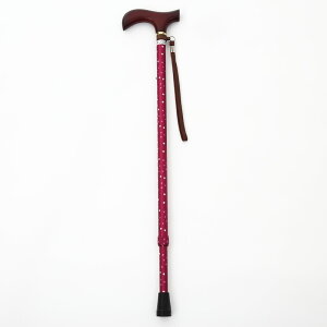 EFt@ CtXebL Lk^(X^Cv) ԃC 