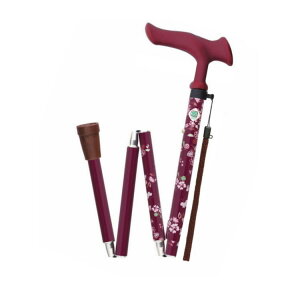 tWz[ 邪t@2 ܏ ԃC WB5132