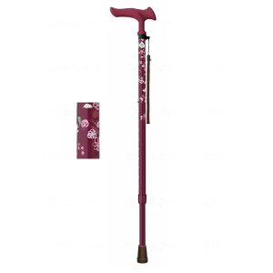 tWz[ 邪t@2 Lk ԃC WB5130