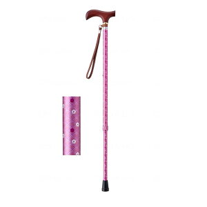 EFt@ CtXebL Lk^iX^Cvj pi ~CgsN VjA 009714