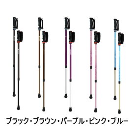 シナノ ウォーキングポール あんしん2本杖 登山