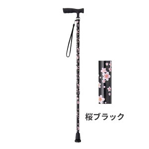 EFt@ ܂XebL X Lk^ pi XebL  ߉\  VjA j   Vv 