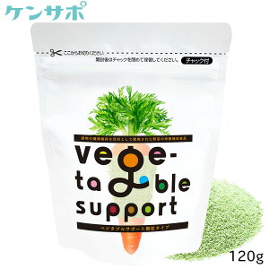 y[֑zxW^uT|[g 120g@^Cv Nێp xWT| hbOt[h   Tv Tvg  hN^[vX ̑ 