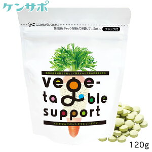 y[֑zxW^uT|[g 120g ^ubg^Cv Nێp xWT| hbOt[h   Tv Tvg  hN^[vX ̑ 