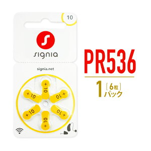 ⒮ dr PR536 (10) 1pbN 6 Cdr V[X VOjA fW~~2Ȃ [J[gp\ y20Jȏz