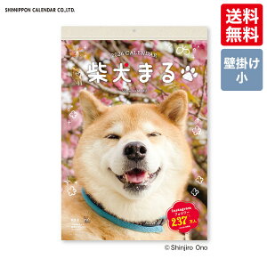 V{J_[@2026Č܂@Ǌ|J_[@NK-4010@Č@@܂@Ǌ|@J_[@@ߔN