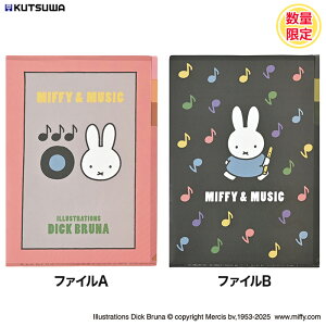 ~btB[&~[WbN A4NAz_[ A4t@C NAt@C t@C [  ޓ 3|Pbg ~btB[  R[h `[t g fBbNu[i DICKBRUNA 