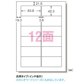 エーワン　パソコンプリンタ＆ワープロラベルシール〈プリンタ兼用〉　マット紙（A4判）　100枚入　規格：A4判12面 【28184】